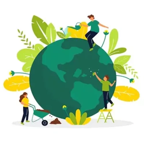 Activity 2: Sustainable Development